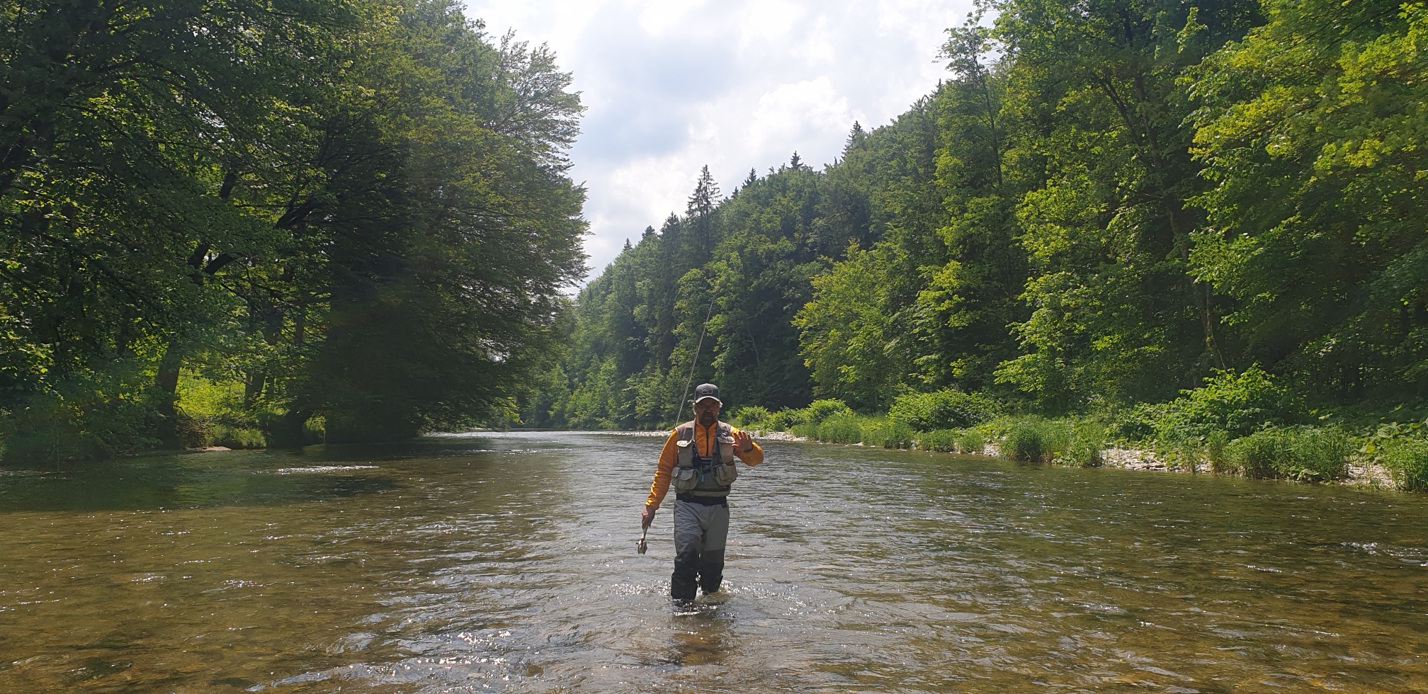 Einzelner Fliegenfischer watet im breiten, klaren Flusslauf der bayerischen Traun, bewaldete Ufer im Sommerlicht