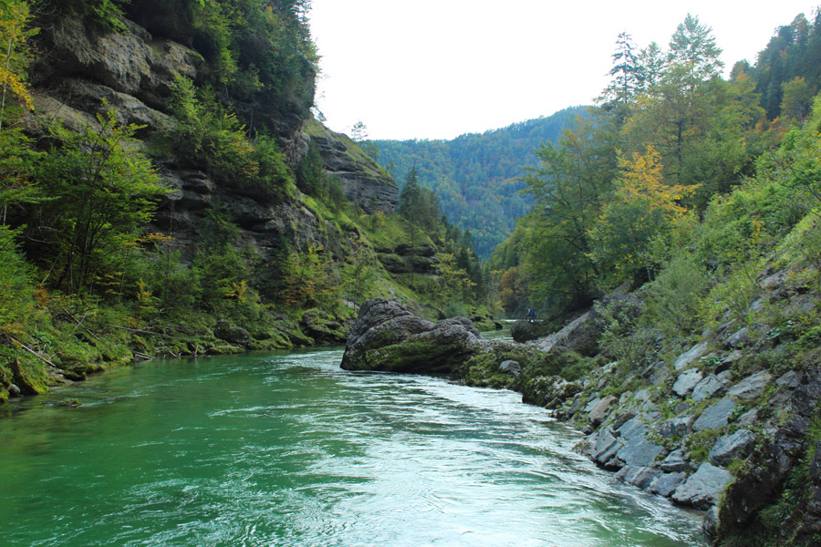 Flusslauf der Steirischen Salza zwischen Felsen in unverbauter Landschaft