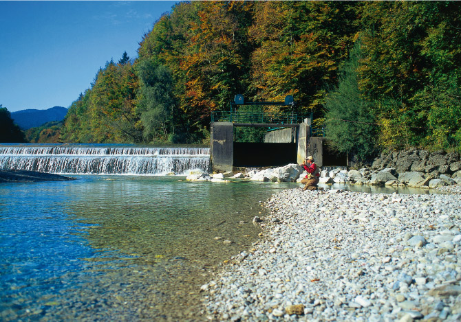 Weiße Traun am Höpflinger Wehr mit Kiesbank und Herbstlaub, Anfang der Strecke